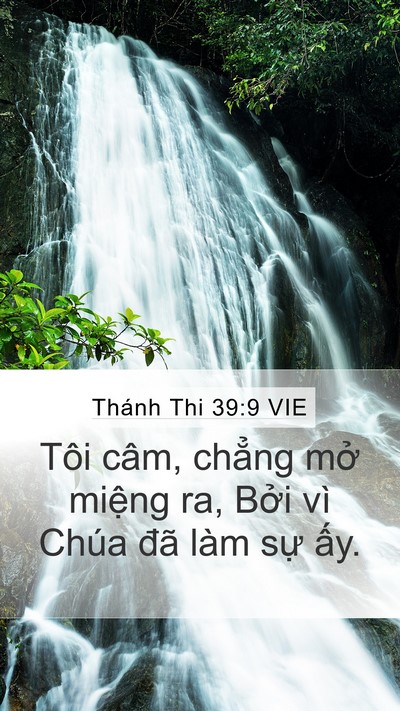 Thánh Thi 39:9 VIE Bible Verse Image