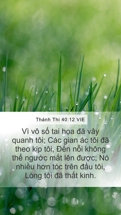 Thánh Thi 40:12 VIE Bible Verse Image