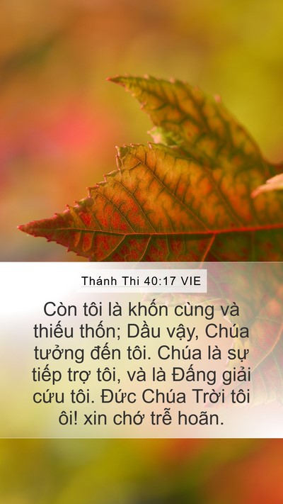 Thánh Thi 40:17 VIE Bible Verse Image