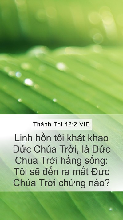 Thánh Thi 42:2 VIE Mobile Phone Wallpaper - Linh hồn tôi khát khao Đức Chúa Trời, - Mobile Bible Verse Wallpaper
