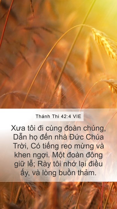 Thánh Thi 42:4 VIE Bible Verse Image