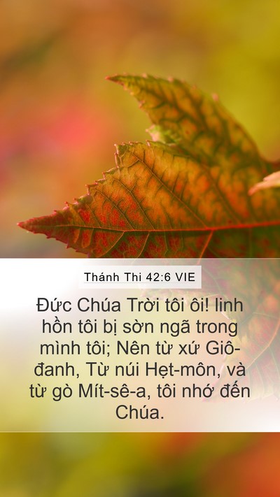 Thánh Thi 42:6 VIE Bible Verse Image