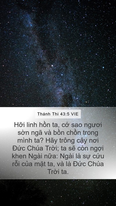 Thánh Thi 43:5 VIE Bible Verse Image