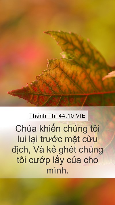 Thánh Thi 44:10 VIE Bible Verse Image