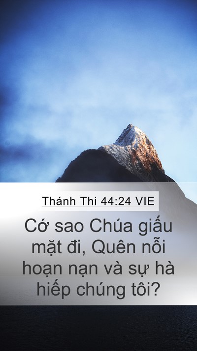 Thánh Thi 44:24 VIE Bible Verse Image