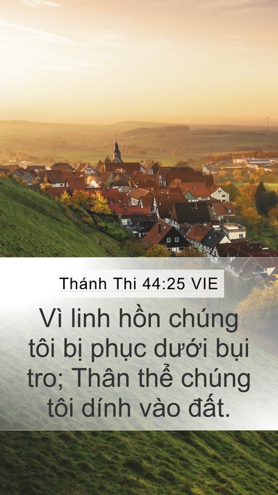 Thánh Thi 44:25 VIE Bible Verse Image