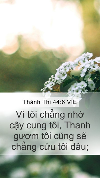 Thánh Thi 44:6 VIE Bible Verse Image