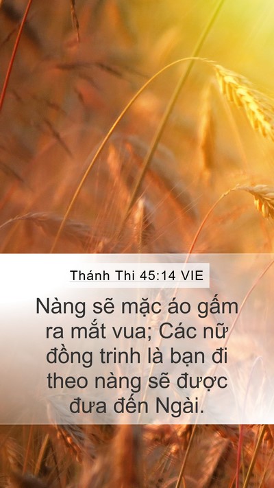 Thánh Thi 45:14 VIE Bible Verse Image