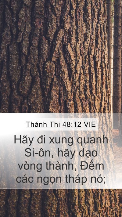 Thánh Thi 48:12 VIE Bible Verse Image