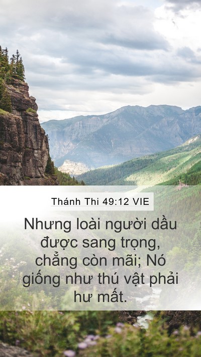 Thánh Thi 49:12 VIE Bible Verse Image