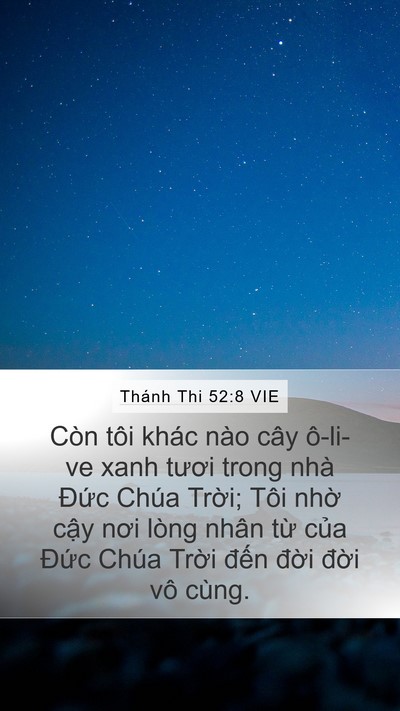 Thánh Thi 52:8 VIE Bible Verse Image