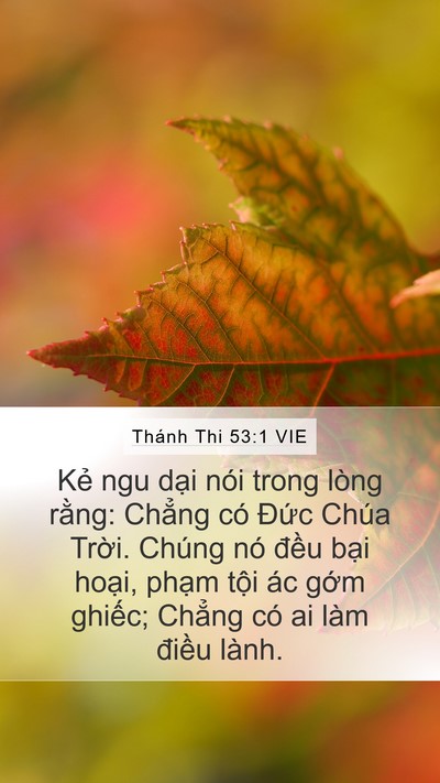 Thánh Thi 53:1 VIE Bible Verse Image