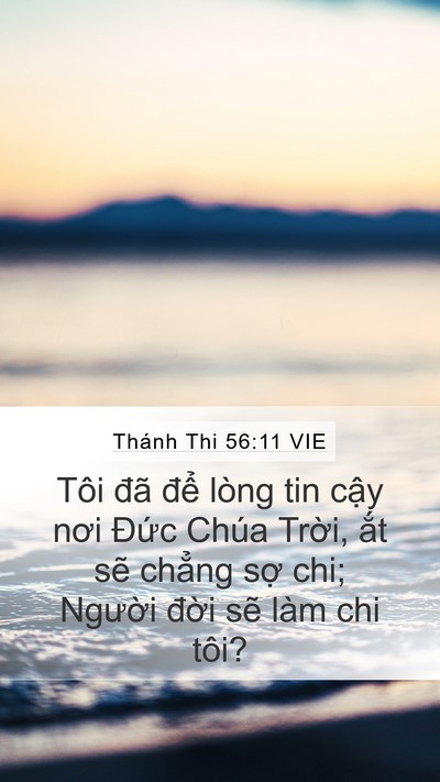 Thánh Thi 56:11 VIE Bible Verse Image