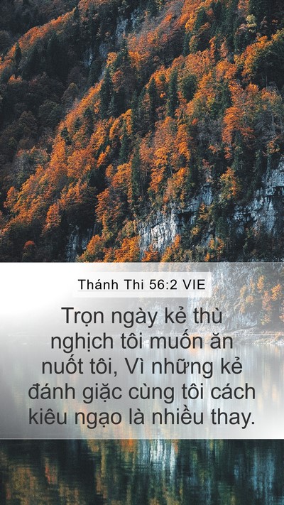 Thánh Thi 56:2 VIE Bible Verse Image