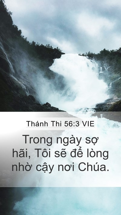 Thánh Thi 56:3 VIE Bible Verse Image