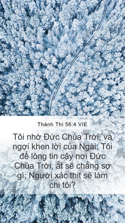 Thánh Thi 56:4 VIE Bible Verse Image