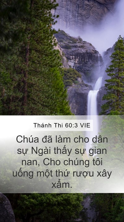 Thánh Thi 60:3 VIE Bible Verse Image