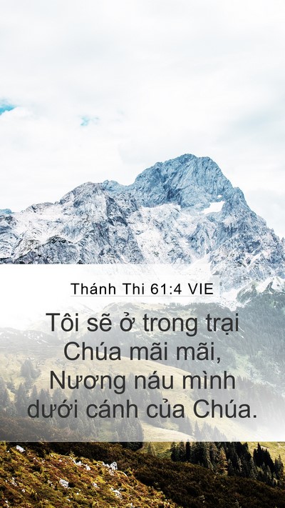 Thánh Thi 61:4 VIE Bible Verse Image