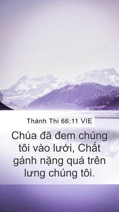 Thánh Thi 66:11 VIE Mobile Phone Wallpaper - Chúa đã đem chúng tôi vào lưới, Chất - Mobile Bible Verse Wallpaper