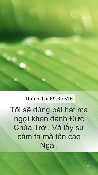 Thánh Thi 69:30 VIE Mobile Phone Wallpaper - Tôi sẽ dùng bài hát mà ngợi khen danh - Mobile Bible Verse Wallpaper