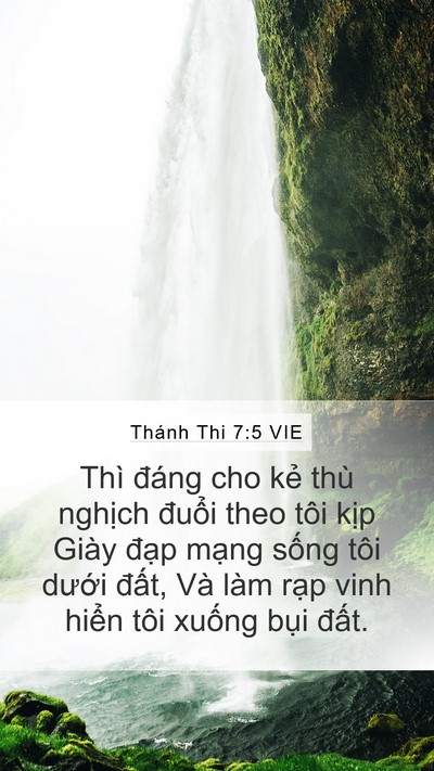 Thánh Thi 7:5 VIE Mobile Phone Wallpaper - Thì đáng cho kẻ thù nghịch đuổi theo - Mobile Bible Verse Wallpaper