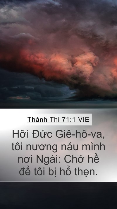 Thánh Thi 71:1 VIE Mobile Phone Wallpaper - Hỡi Đức Giê-hô-va, tôi nương náu mình - Mobile Bible Verse Wallpaper