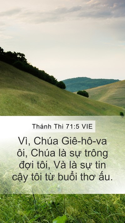 Thánh Thi 71:5 VIE Mobile Phone Wallpaper - Vì, Chúa Giê-hô-va ôi, Chúa là sự trông - Mobile Bible Verse Wallpaper