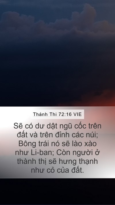 Thánh Thi 72:16 VIE Mobile Phone Wallpaper - Sẽ có dư dật ngũ cốc trên đất và - Mobile Bible Verse Wallpaper