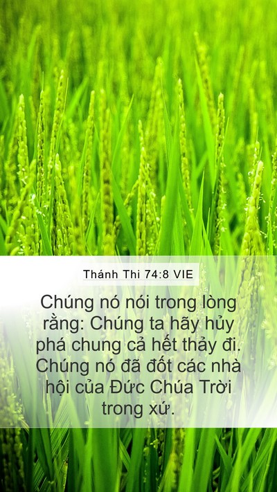 Thánh Thi 74:8 VIE Bible Verse Image