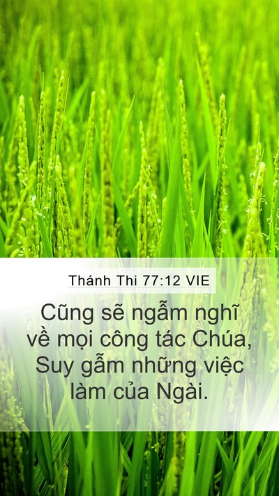 Thánh Thi 77:12 VIE Mobile Phone Wallpaper - Cũng sẽ ngẫm nghĩ về mọi công tác - Mobile Bible Verse Wallpaper
