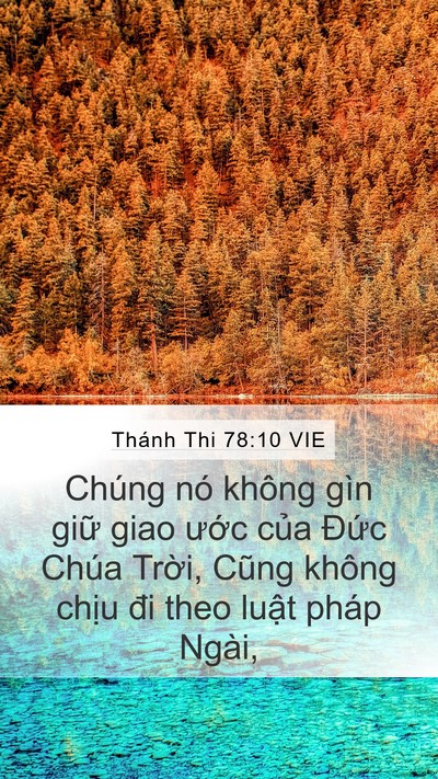 Thánh Thi 78:10 VIE Bible Verse Image