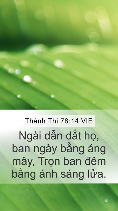 Thánh Thi 78:14 VIE Bible Verse Image