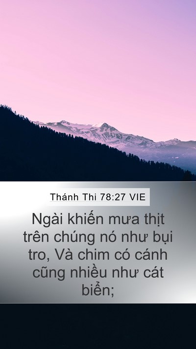 Thánh Thi 78:27 VIE Mobile Phone Wallpaper - Ngài khiến mưa thịt trên chúng nó như - Mobile Bible Verse Wallpaper