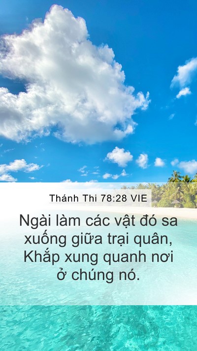 Thánh Thi 78:28 VIE Mobile Phone Wallpaper - Ngài làm các vật đó sa xuống giữa - Mobile Bible Verse Wallpaper