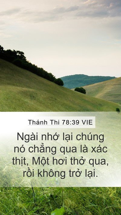 Thánh Thi 78:39 VIE Bible Verse Image