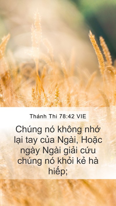 Thánh Thi 78:42 VIE Bible Verse Image