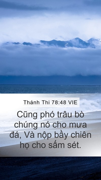 Thánh Thi 78:48 VIE Bible Verse Image