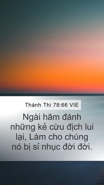 Thánh Thi 78:66 VIE Mobile Phone Wallpaper - Ngài hãm đánh những kẻ cừu địch lui - Mobile Bible Verse Wallpaper