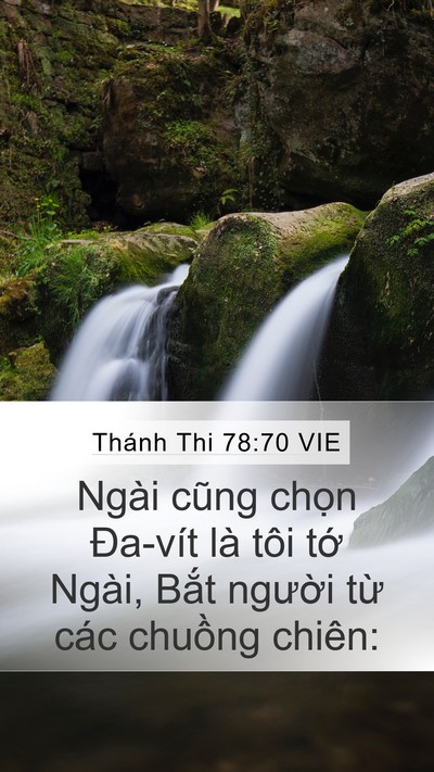 Thánh Thi 78:70 VIE Bible Verse Image