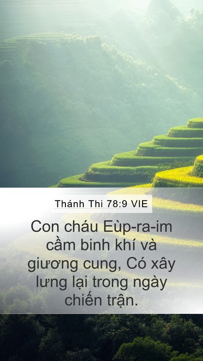 Thánh Thi 78:9 VIE Mobile Phone Wallpaper - Con cháu Eùp-ra-im cầm binh khí và giương - Mobile Bible Verse Wallpaper