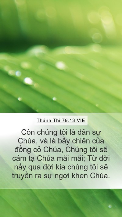Thánh Thi 79:13 VIE Bible Verse Image