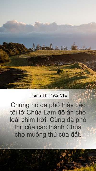 Thánh Thi 79:2 VIE Bible Verse Image