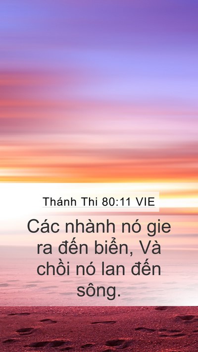 Thánh Thi 80:11 VIE Bible Verse Image