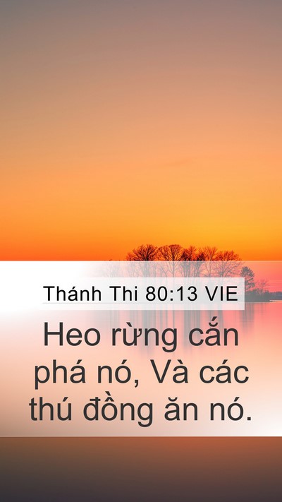 Thánh Thi 80:13 VIE Bible Verse Image