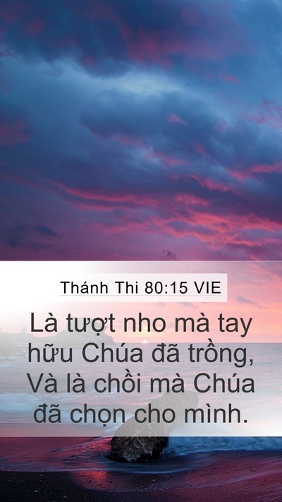Thánh Thi 80:15 VIE Bible Verse Image