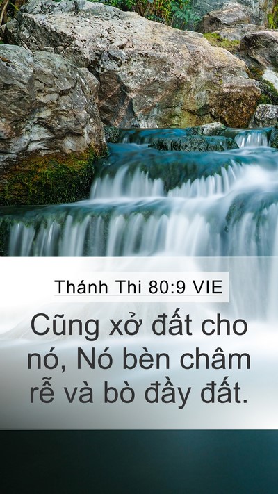 Thánh Thi 80:9 VIE Bible Verse Image
