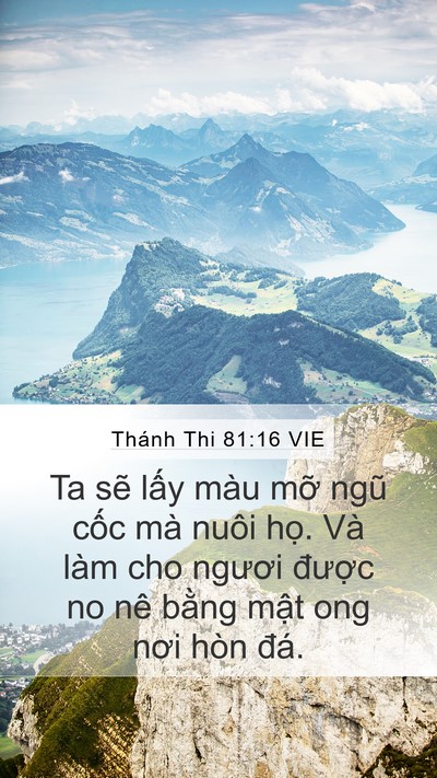 Thánh Thi 81:16 VIE Bible Verse Image