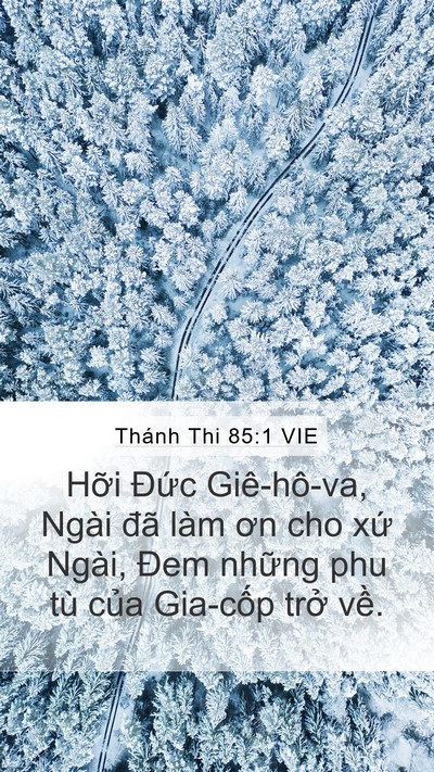 Thánh Thi 85:1 VIE Mobile Phone Wallpaper - Hỡi Đức Giê-hô-va, Ngài đã làm ơn cho - Mobile Bible Verse Wallpaper