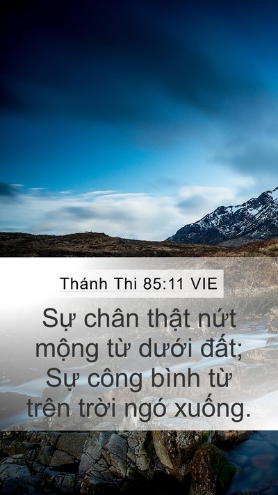 Thánh Thi 85:11 VIE Mobile Phone Wallpaper - Sự chân thật nứt mộng từ dưới - Mobile Bible Verse Wallpaper