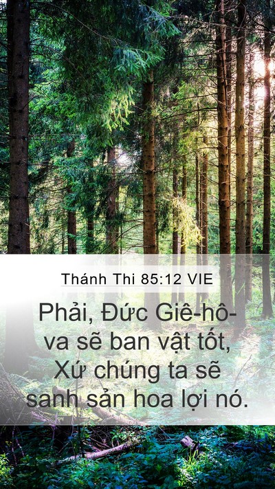Thánh Thi 85:12 VIE Bible Verse Image
